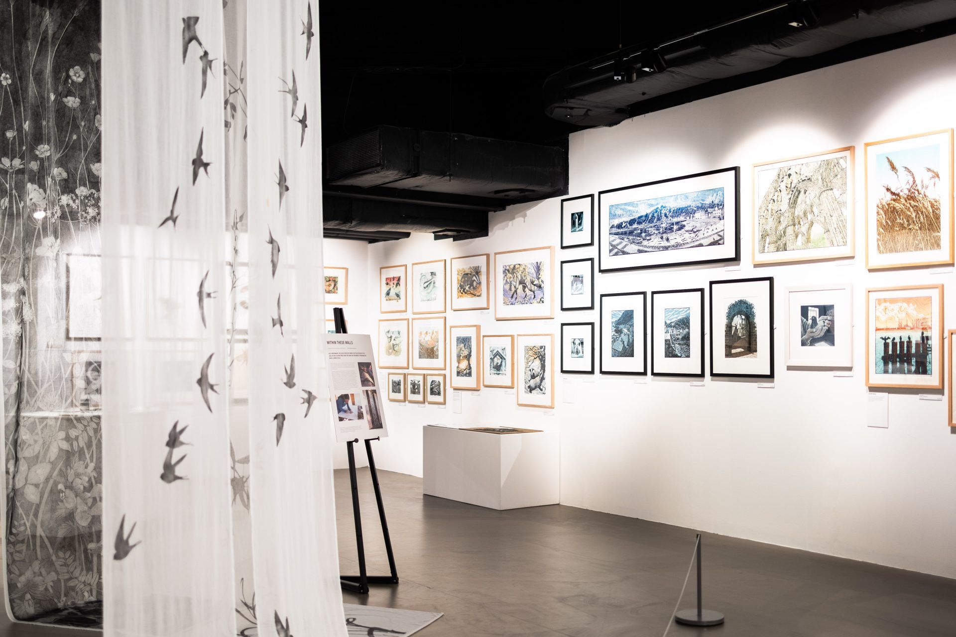 the gallery at Rheged